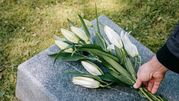 Eco-Friendly Cremation Services: Exploring Sustainable Options for End-of-Life Arrangements